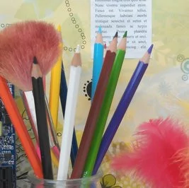 0000010A05513877-photo-capture-d-cran-2012-11-13-09-46-48.jpg