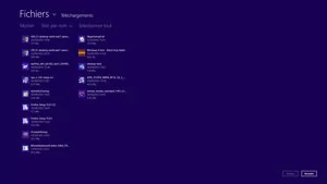 012C000005481825-photo-windows-8-rtm-navigation-fichiers-2.jpg
