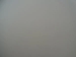 012C000004380934-photo-ricoh-cx5-doigt-sur-le-flash.jpg
