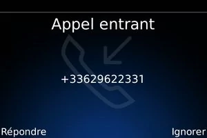 012C000001586798-photo-blackberry-bold.jpg