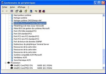 000000FA00399743-photo-nvidia-nforce-680i-sli-gestionnaire-p-riph-riques-windows.jpg