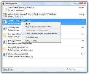 012C000001371990-photo-firefox-3-gestionnaire-de-t-l-chargement.jpg