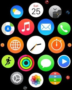 00FA000008018254-photo-apple-watch-capture-143.jpg