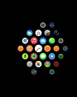 00FA000008018252-photo-apple-watch-capture-142.jpg