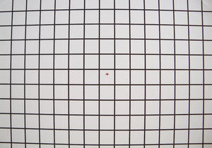 012C000002271342-photo-kodak-easyshare-z915-distorsion.jpg