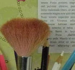 0096000004380602-photo-cx5-800-iso-extrait-1.jpg