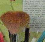 0096000004380594-photo-cx5-3200-iso-extrait-1.jpg