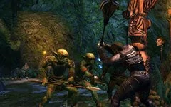00F0000001536536-photo-neverwinter-nights-2-storm-of-zehir.jpg