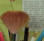 0096000004380598-photo-cx5-400-iso-extrait-1.jpg