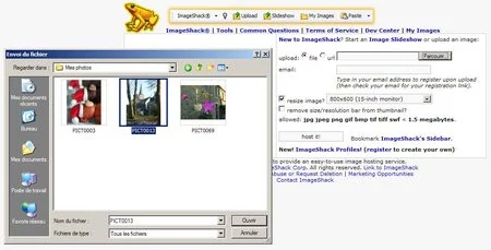 01C2000000414273-photo-carte-voeux-imageshack.jpg