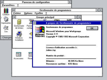 0000010E02568714-photo-historique-os-windows-3-1-5.jpg