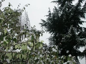 012C000000056172-photo-nikon-coolpix-4500-sample-5.jpg