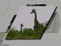 00D2000000059015-photo-motogp-ultimate-racing-technology-2-des-girafes.jpg