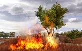 00A5000000569763-photo-far-cry-2.jpg