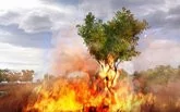00A5000000569764-photo-far-cry-2.jpg