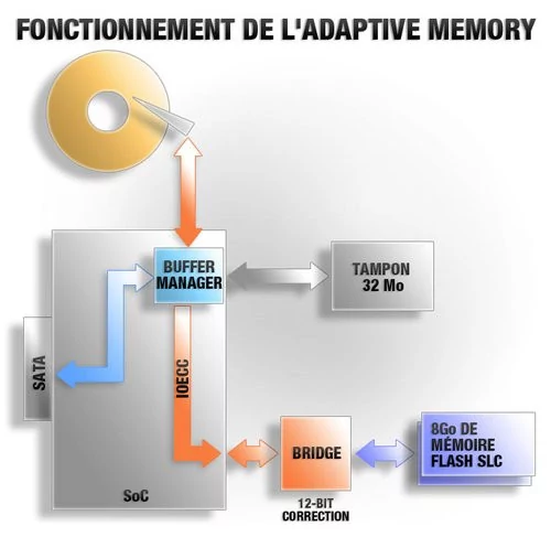 01F4000005196530-photo-adaptive-memory.jpg