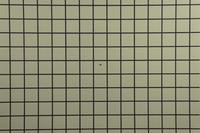 00C8000004764148-photo-55mm-sans-correction-disto.jpg