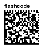 02274258-photo-flashcode.jpg
