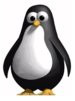 00FA000000133921-photo-linux-pingouin-libre.jpg