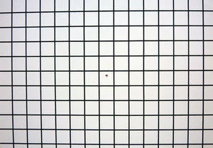 012C000002274492-photo-panasonic-dmc-tz-7-distorsion.jpg