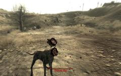 00F0000001733058-photo-fallout-3.jpg