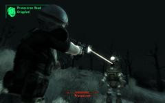 00F0000001733068-photo-fallout-3.jpg