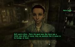00F0000001733176-photo-fallout-3.jpg