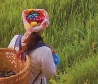 00C8000002281948-photo-samsung-wb500-80-iso-crop3.jpg