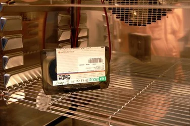 000000FA00305288-photo-ina-visite.jpg