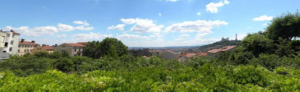 0258000002274114-photo-nikon-coolpix-l100-panoramique.jpg