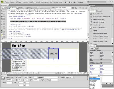 0190000001794100-photo-dreamweaver-cs4-dition-de-css.jpg