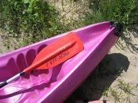 0000009600338760-photo-canon-ixus-800is-galerie-4.jpg