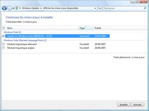 012C000000809438-photo-windows-vista-service-pack-1-rtm-sp1-windows-update-1.jpg