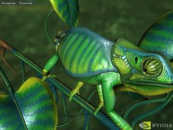 00FA000000048062-photo-geforce3-chameleon.jpg