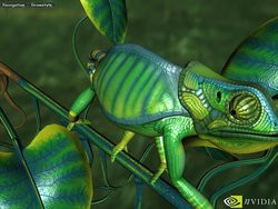 00FA000000048062-photo-geforce3-chameleon.jpg