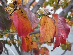 000000B400408569-photo-fujifilm-finepix-a700-3-2.jpg