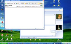012C000000134332-photo-th-me-windows-xp-royal.jpg