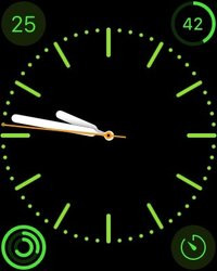 00C8000008018364-photo-apple-watch-capture-59.jpg