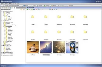 000000DC00405773-photo-roxio-easy-media-creator-9-mediamanager.jpg