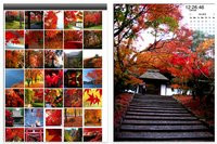 00C8000003762824-photo-live-japon-applications-ipad.jpg