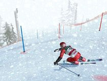 00D2000000201935-photo-ski-racing-2006.jpg
