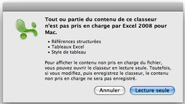 0000009600804360-photo-microsoft-excel-2008-mac-erreur-2.jpg