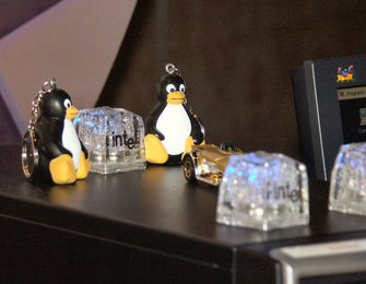 0000010400127092-photo-intel-iss-vive-les-pingouins.jpg