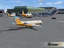 00D2000000368647-photo-flight-simulator-x.jpg