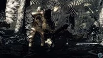 00D2000001403724-photo-call-of-duty-world-at-war.jpg