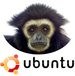 004B000000627412-photo-ubuntu-7-10-gutsy-gibbon.jpg