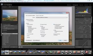 012C000004511764-photo-lightroom-3-enregistrement-set-de-r-glages.jpg