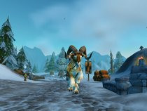 00D2000000609476-photo-world-of-warcraft-wrath-of-the-lich-king.jpg