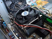00D2000000056607-photo-asus-terminator-p4-533-un-processeur-sans-heat-pipe.jpg