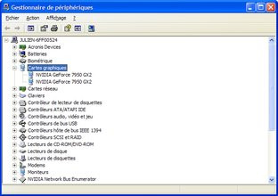 000000DC00310158-photo-nvidia-geforce-7950-gx2-device-manager.jpg